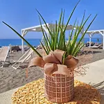 G&g Calabria Couette-café